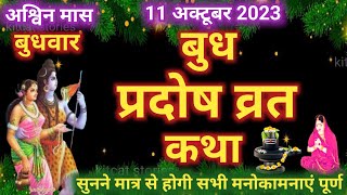 बुध प्रदोष व्रत कथा 2024 Budh Pradosh Vrat Katha 2024  Budhwar Pradosh vrat katha 2024 [upl. by Anehsuc238]