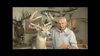 Deer Head Remount  Rinehart Taxidermy Institute Umountit [upl. by Delorenzo]