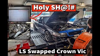 Mach LSX LS Swapped 6 Speed Crown Vic First Dyno Pulls and Test Drive And it Absolutely RIPS [upl. by Caiaphas]