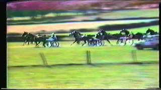 UK Harness Racing Accidents [upl. by Fondea205]