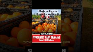 Oferta de Empleo en Canadá agricultura jobs empleo trabajo canadajobs canada job granja [upl. by Vedetta358]