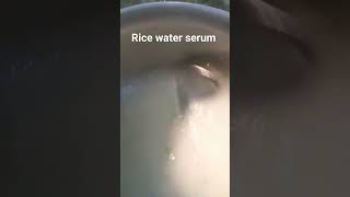 rice water face serum brightening rice water explore youtubeshorts [upl. by Oribel]