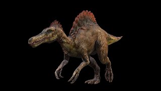 Spinosaurus  Spino DinosaurShortVer [upl. by Hartzell427]