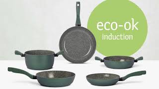 TVS presents  Eco Ok Induction [upl. by Anuaek]