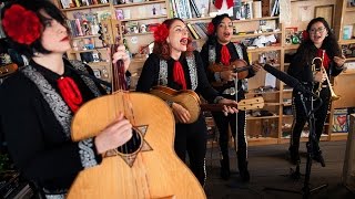 Mariachi Flor De Toloache NPR Music Tiny Desk Concert [upl. by Geminius109]