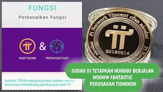 UPDATE KERJA SAMA TRON amp PI NETWORK  HARGA PI MENURUT KONSENSUS TIONGKOK FANTASTIC [upl. by Naig]