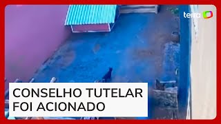 Menino de 9 Anos Invade hospital Veterinário e Mata vários Animais  Comentando [upl. by Atsahc]