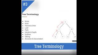 Basic Terminology of Tree  DSA using Python  Height Depth python placement coding programming [upl. by Lindemann90]