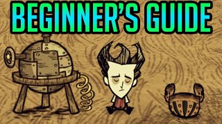 Dont Starve Guide How To Get and Use The Birdcage and Getting Birds [upl. by Lekkim799]