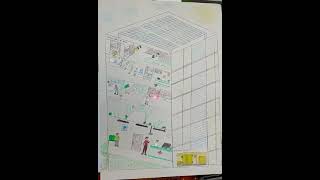 COMPARACIÒN DE ORGANELAS CELULARES [upl. by Nilloc]