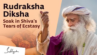 Rudraksha Diksha  An Initiation with Sadhguru  Online  January 3 2022 [upl. by Annanhoj618]