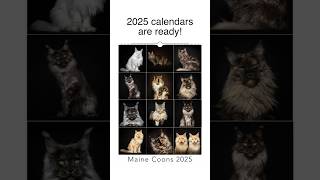 2025 calendars are ready [upl. by Tavi]