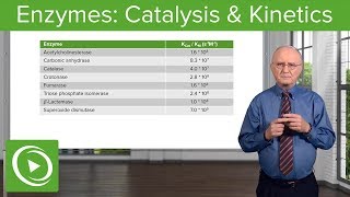 Enzymes Catalysis Kinetics amp Classification – Biochemistry  Lecturio [upl. by Ebbarta]