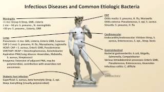 Bacterial Etiologies of Common Infections Antibiotics  Lecture 2 [upl. by Arracat]