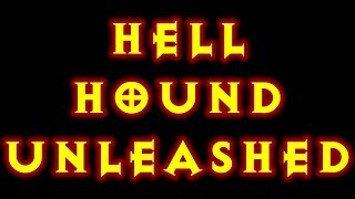 Diablo 3 Hell Hound Witch Doctor Build 205 Reaper Of Souls [upl. by Kelli]