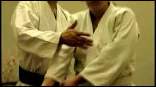 The Aikido of Silverstrand Dojo International [upl. by Eilsek]