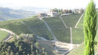 Panorama at Il Boscareto in Serralunga dAlba [upl. by Assi313]