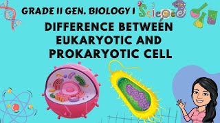 Understanding the Immune System in One Video [upl. by Ecnahoy]