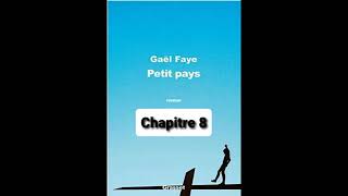 8 Petit Pays  Gael Faye  aide à la lecture  Chapitre 8 [upl. by Ellicec]