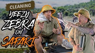 Cleaning Yeezy 350 Zebras on Safari [upl. by Nihahs681]