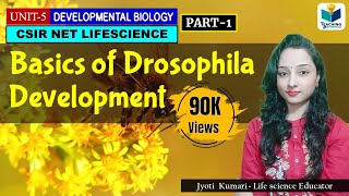 DEVELOPMENTAL BIOLOGY OF DROSOPHILA PART1  CSIR NET LIFESCIENCE  IMPORTANT [upl. by Ayekehs]