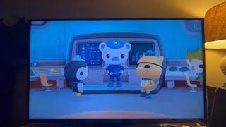 octonauts creature report water bear [upl. by Asseralc]