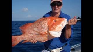 Cape Melville Bathurst Bay Fishing amp CampingTrip [upl. by Ahsaeym524]