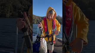 Hawkesbury Jewfish softplastics fishing [upl. by Aylat]