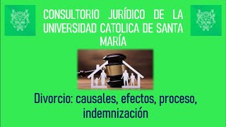 Divorcio Causales efectos proceso e indemnización [upl. by Porte13]