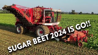 4Kᵁᴴᴰ Sept 2024 Dennington Halls Vervaet 617 six row sugar beet harvester working in Suffolk 💪👍 [upl. by Rella279]