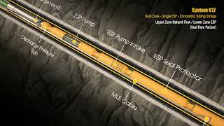 System 017  Dual Zone  Single ESP  Concentric Tubing Strings [upl. by Melony]