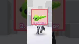 TOP 5 PREPPY PETS IN ADOPT ME  🥰😝😍 adoptme roblox robloxshoppingspree gaming viralvideo [upl. by Fitts]