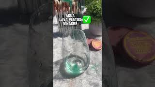 Limpiar las brochas 🥰 asmr asmrsounds [upl. by Waltner]