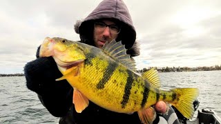 EARLY SPRING JUMBO PERCH FISHING [upl. by Ahseirej]