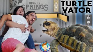 TURTLE in the ELEVATOR Bad Idea Disney Springs in Quarantine FV Family Beach Vlog [upl. by Orthman]