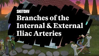 Internal amp External Iliac Artery Branches Part 1  Sketchy Medical  USMLE Step 1 [upl. by Power]