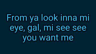 Sean Paul give it up to me lyrics [upl. by Emogene601]