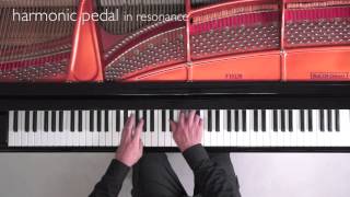 Liszt Liebesträume 3 amp Un Sospiro Cadenzas  Pedal and Interpretation  P Barton [upl. by Zared]