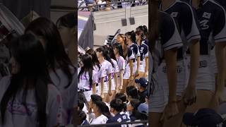 正宗三振舞九人韓妹排開太香Strikeoutsong 삐끼삐끼 wbsc 十二強 中華職棒cpblWBSC Premier 12taipeidometaipeidomekpop [upl. by Enaffit516]