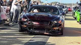 Alphamale Alpha ONE Widebody Ford Mustang GT  Crazy Burnouts amp Revs [upl. by Frere399]