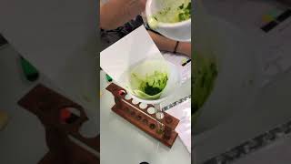 Extraction de la chlorophylle pour vérifier les expériences d’engelmann [upl. by Aicala]