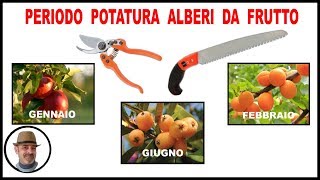 PERIODO DI POTATURA PIANTE DA FRUTTO [upl. by Kimber343]