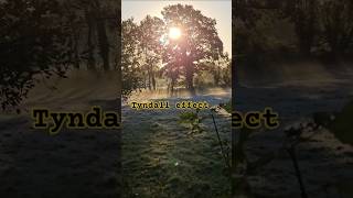 Tyndall effect in the morning educational science physics [upl. by Yehtomit]