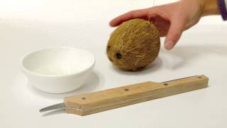 Coconut Opener [upl. by Yenor]