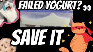 how to save failed yogurt with protein powder and cookies [upl. by Lareine555]