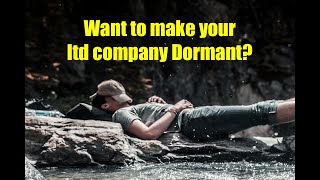 What is a Dormant Company and what do I need to tell Companies House and HMRC [upl. by Ogawa]