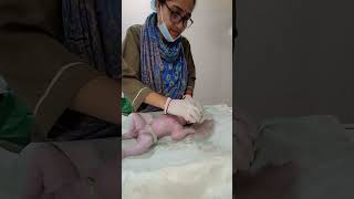 just newborn baby handling [upl. by Dwaine]