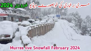 murree Snowfall 2024  murree live today  murree weather  murree snowfall update 2024 vlog [upl. by Reiniar]