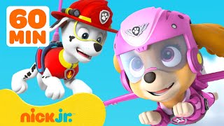 PAW Patrol  ¡PAW Patrol siente a lo grande 💗 Compilación de 1 hora  Nick Jr en Español [upl. by Idihsar]