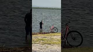 Pescando con atarraya  en mi pueblo Caibarién le llamamos tarraya Cuba [upl. by Artiek]